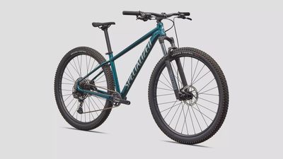 Specialized Rockhopper Expert 29 MY26