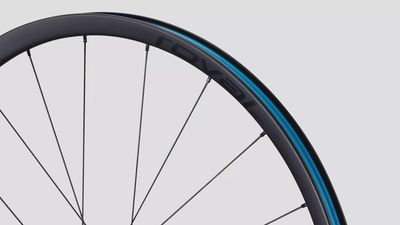 Roval Terra CL III 700c Wheelset
