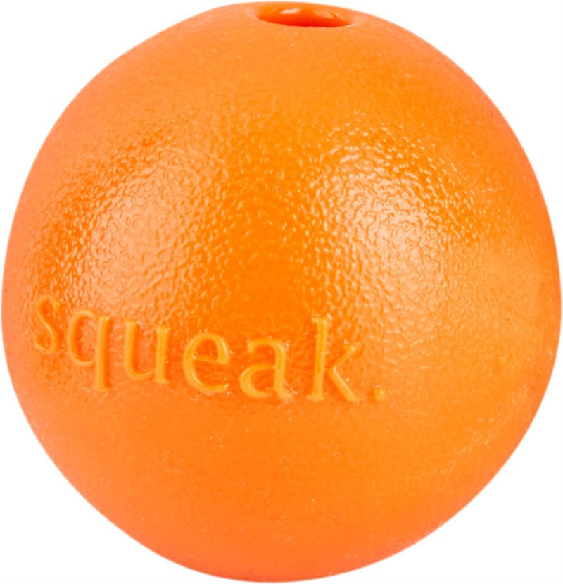 Planet Dog Orbee - Squeak Ball