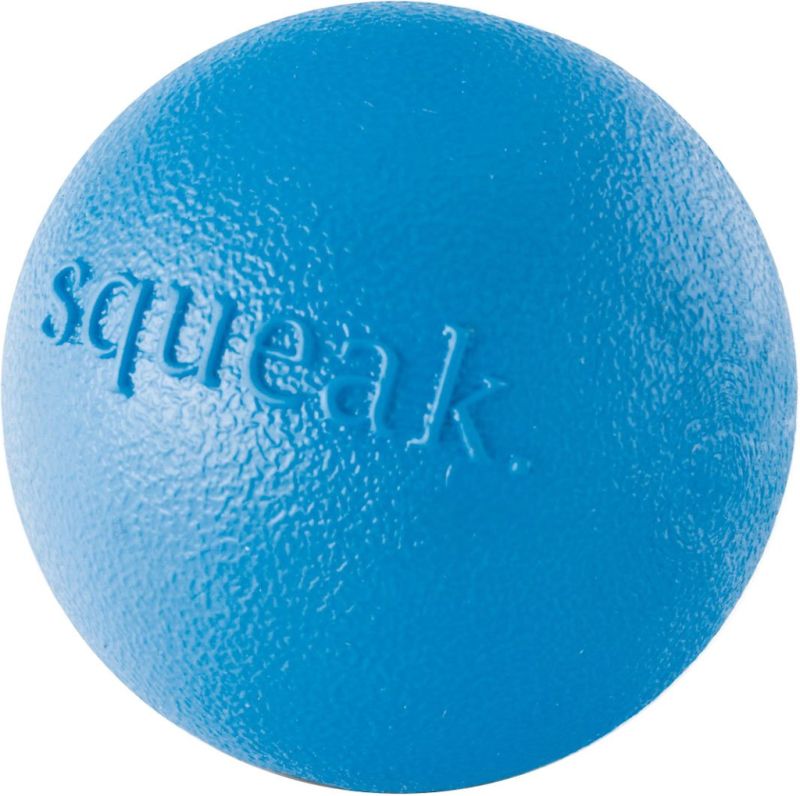 Planet Dog Orbee Squeak Ball