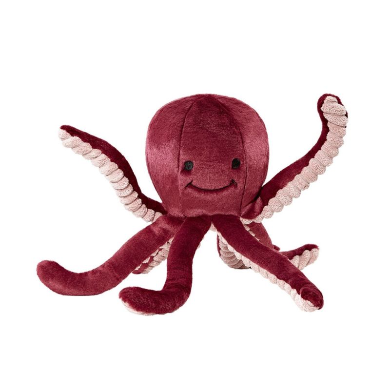 Olympia Octopus
