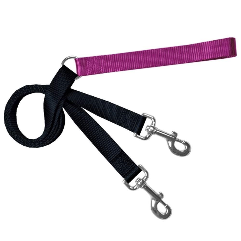 2 Hounds Design Training Lead