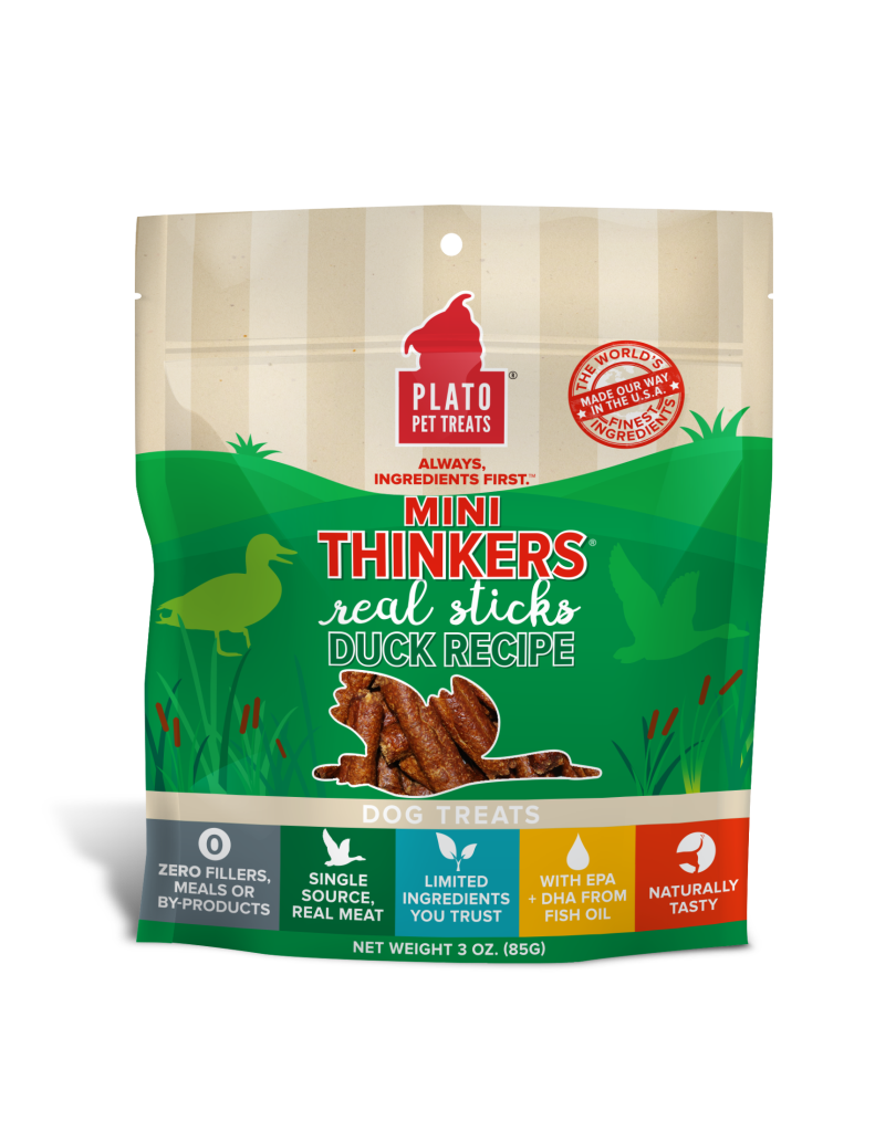Plato Mini Thinkers Duck