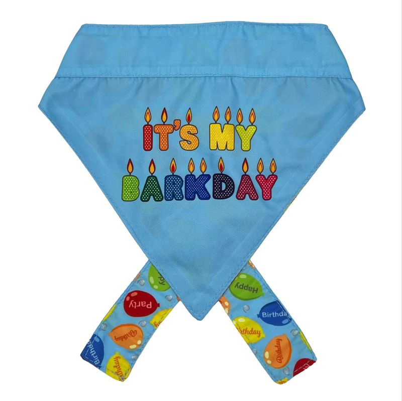 Party Time Blue Bandana