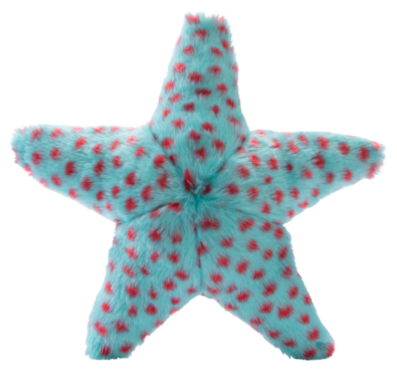 Ally Starfish