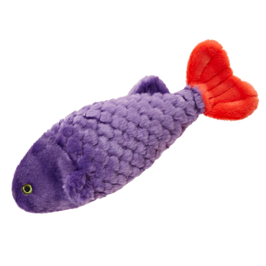 Cici the Tropical Fish