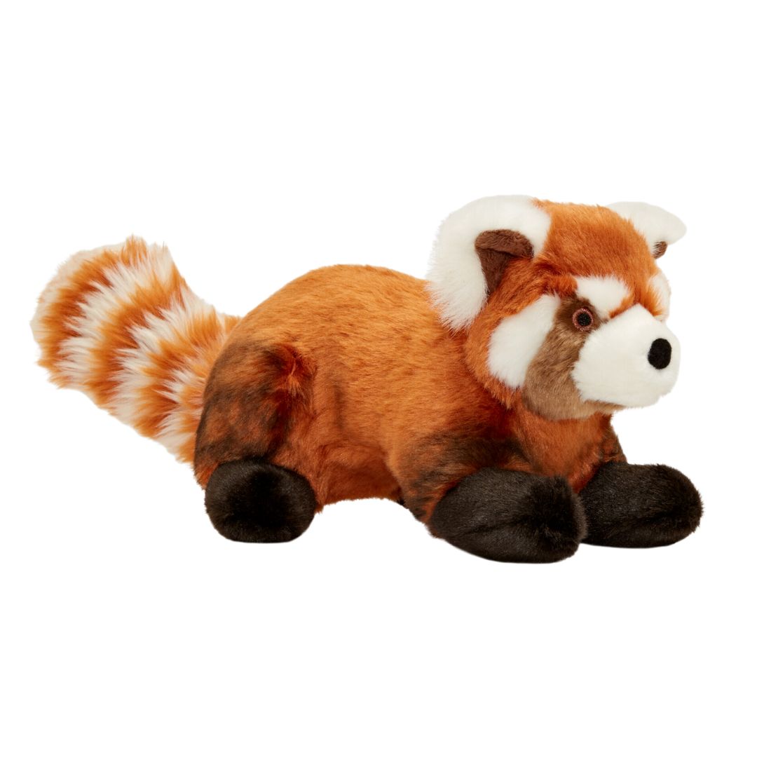 Archie Red Panda