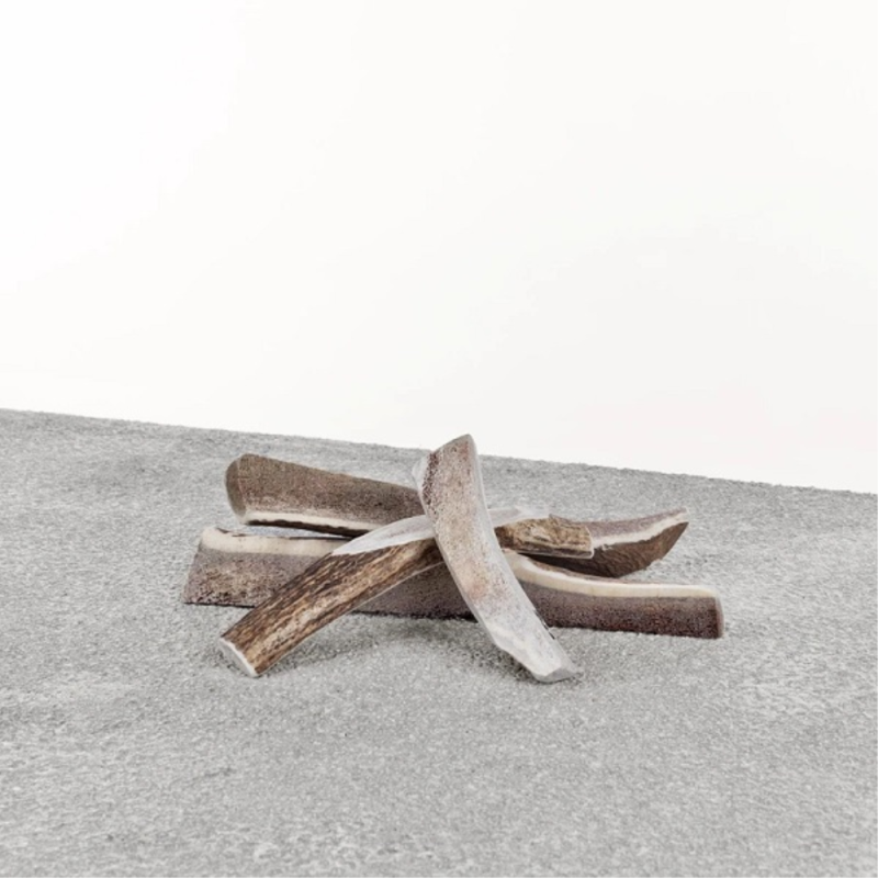 Primal Split Antler - Stag, Size: XL