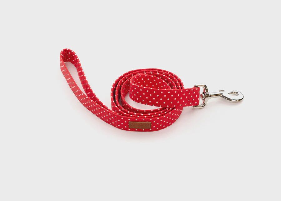 Puddle Jumper Pups Red Polka Dot, Size: 1&#39;&#39; Lead