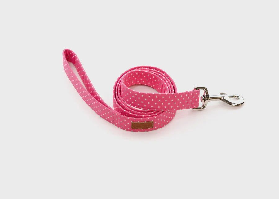 Puddle Jumper Pups Raspberry Polka Dot, Size: 1&#39;&#39; Lead