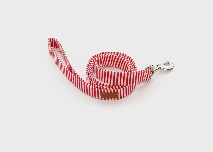 Puddle Jumper Pups Cherry Stripe, Size: 1&#39;&#39; Lead