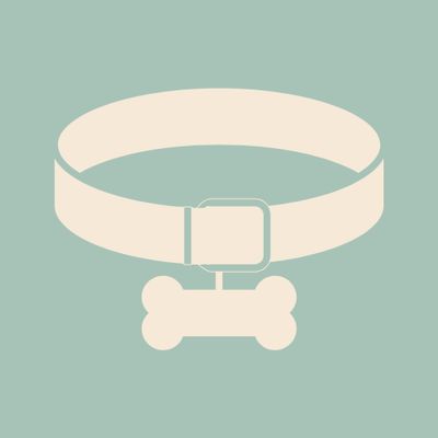 Collars &amp; Leads
