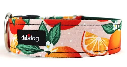 DubDog Clementine