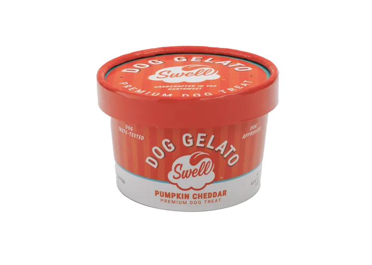 Swell Gelato - Pumpkin Cheddar