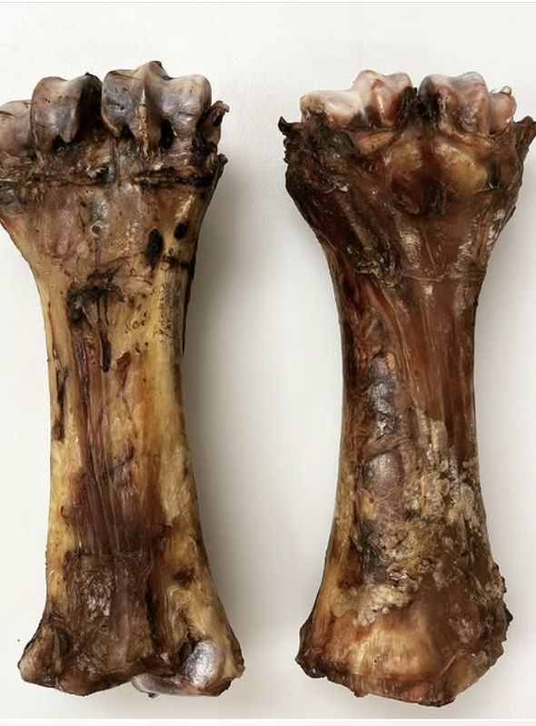 Buff Bites Shin Bone