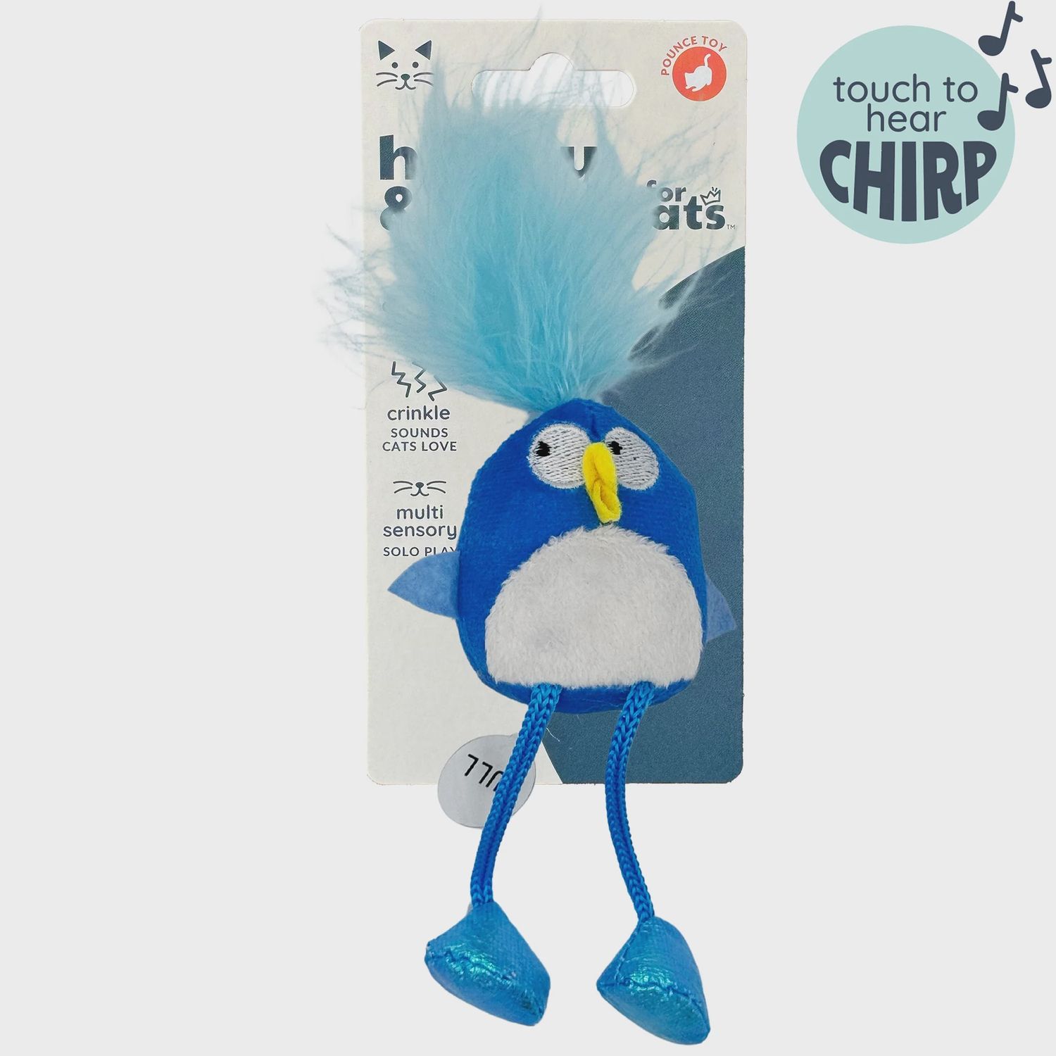 Cat Chirpy Bluebird