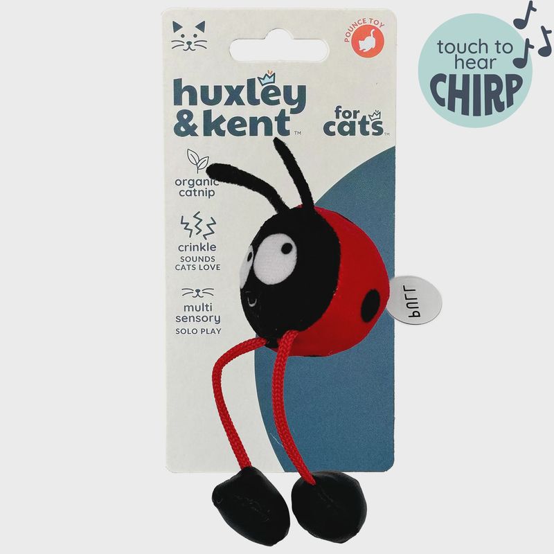 Cat Chirpy Ladybug