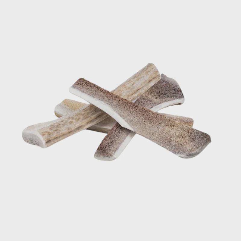 Primal Split Antler - Elk