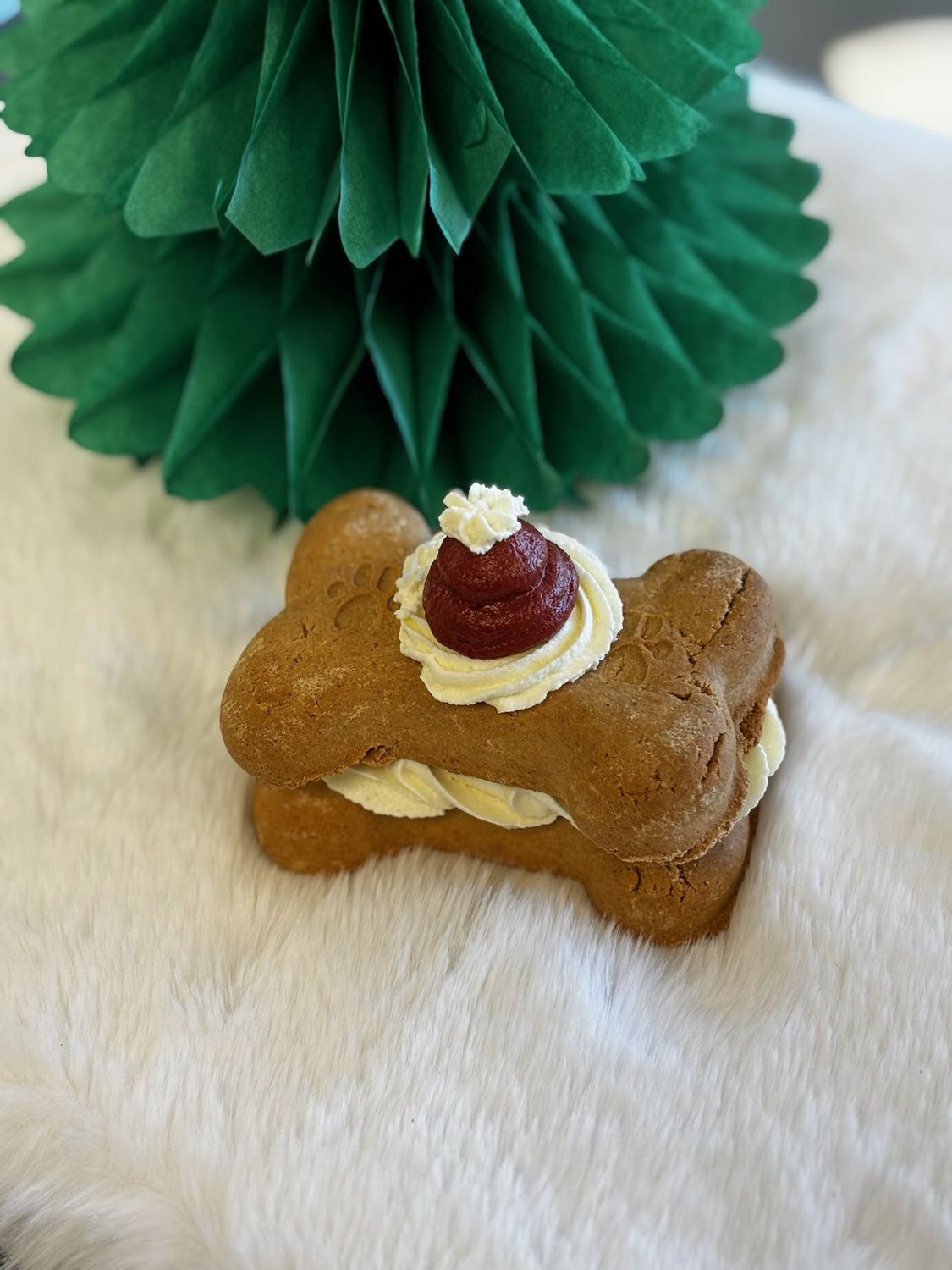 Samoyed Sammie - Holiday