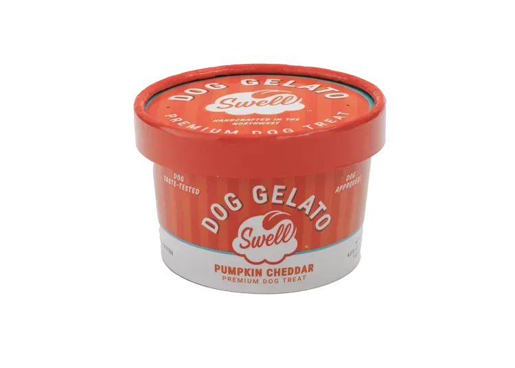 Swell Gelato - Pumpkin Cheddar