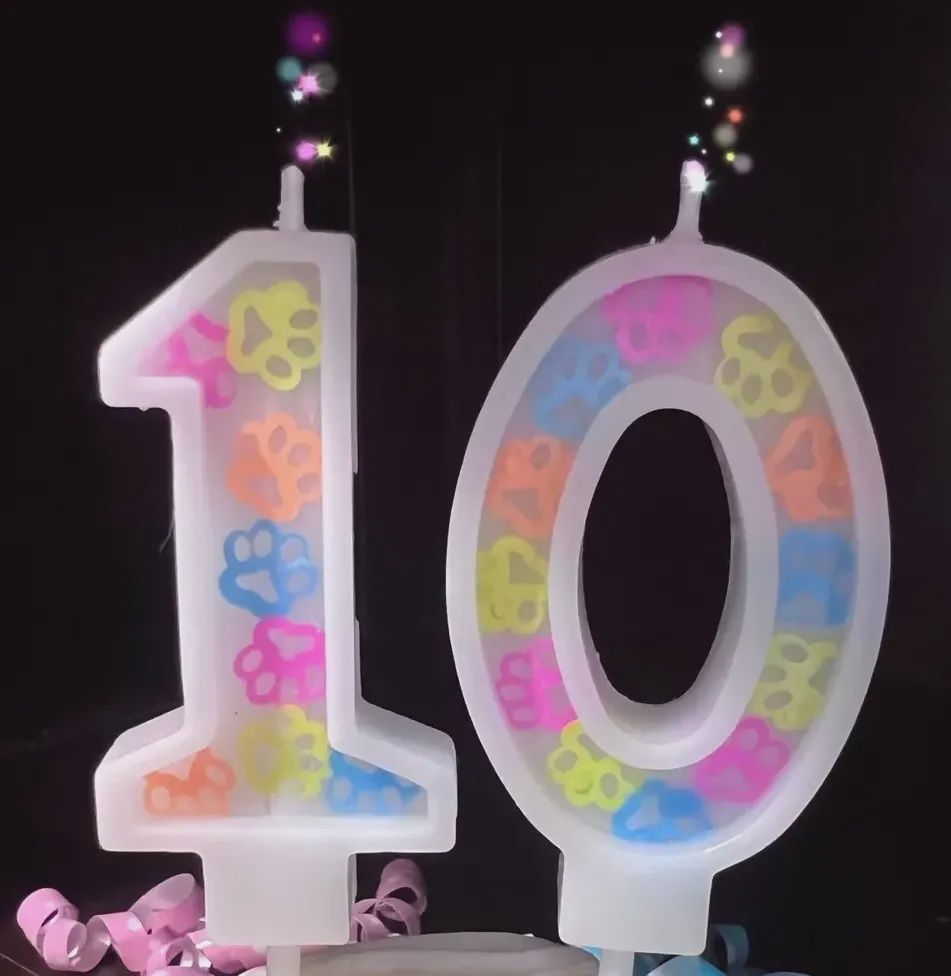 Dog Birthday Party - Number Candles, Number: 0