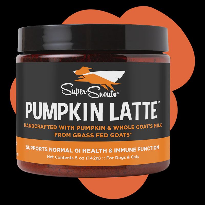Pumpkin Latte