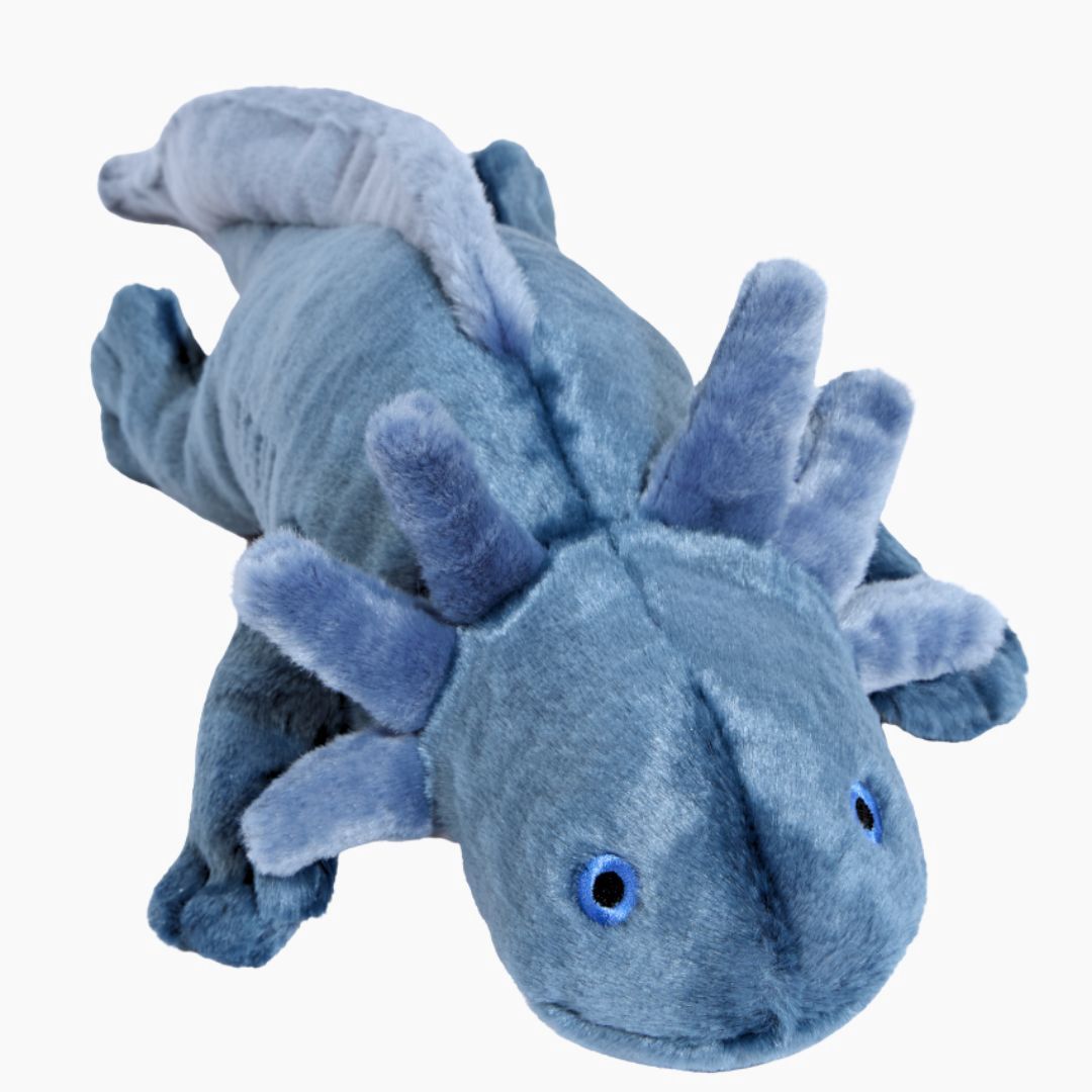 Millie Axolotl