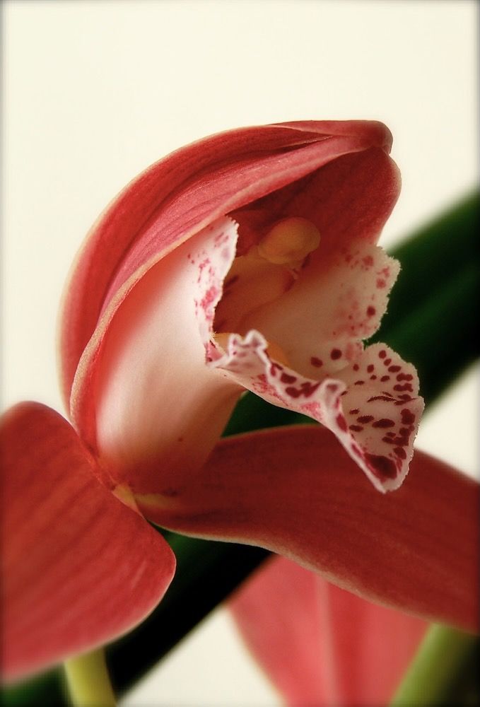 Use Your Creative Mind for Financial Success.