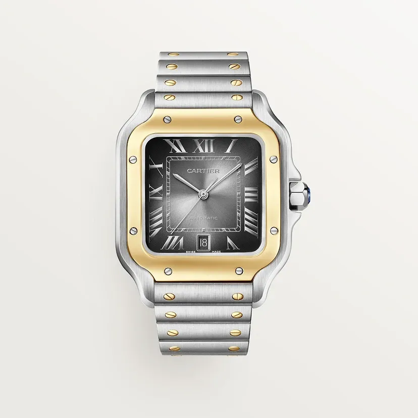 Santos de Cartier watch