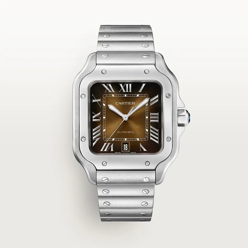 Santos de Cartier watch