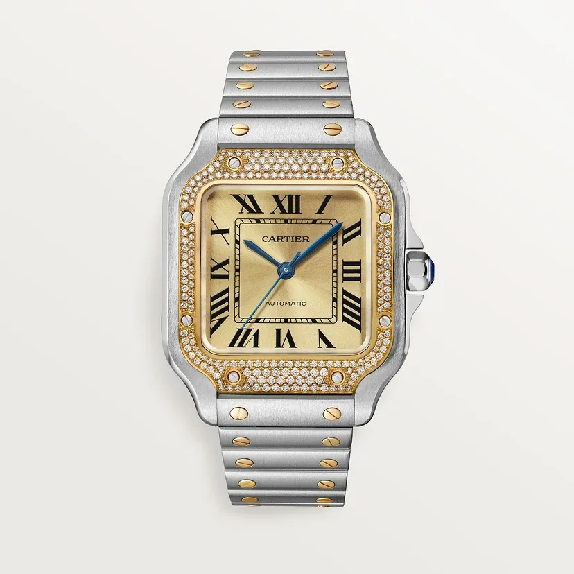 Santos de Cartier watch