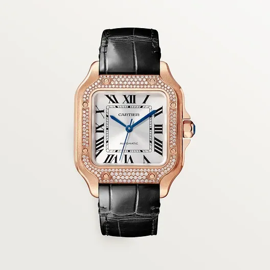 Santos de Cartier watch