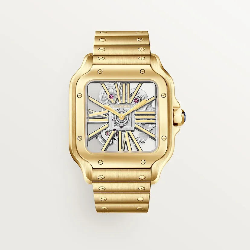 Santos de Cartier watch