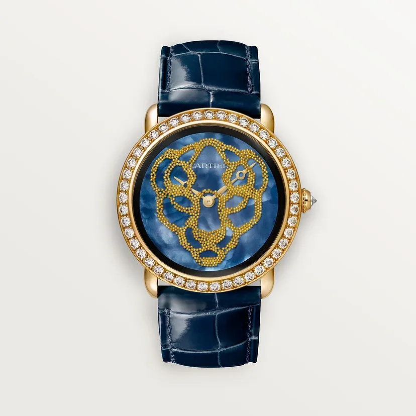 Révélation d&#39;une Panthère watch