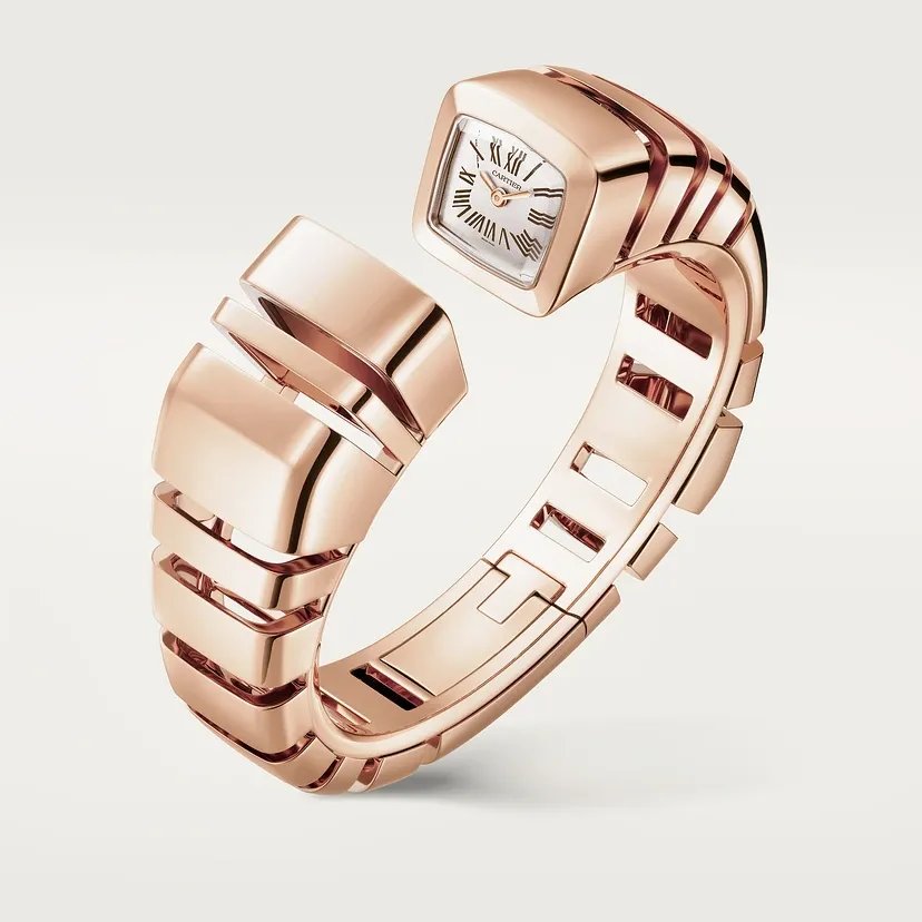 Reflection de Cartier watch