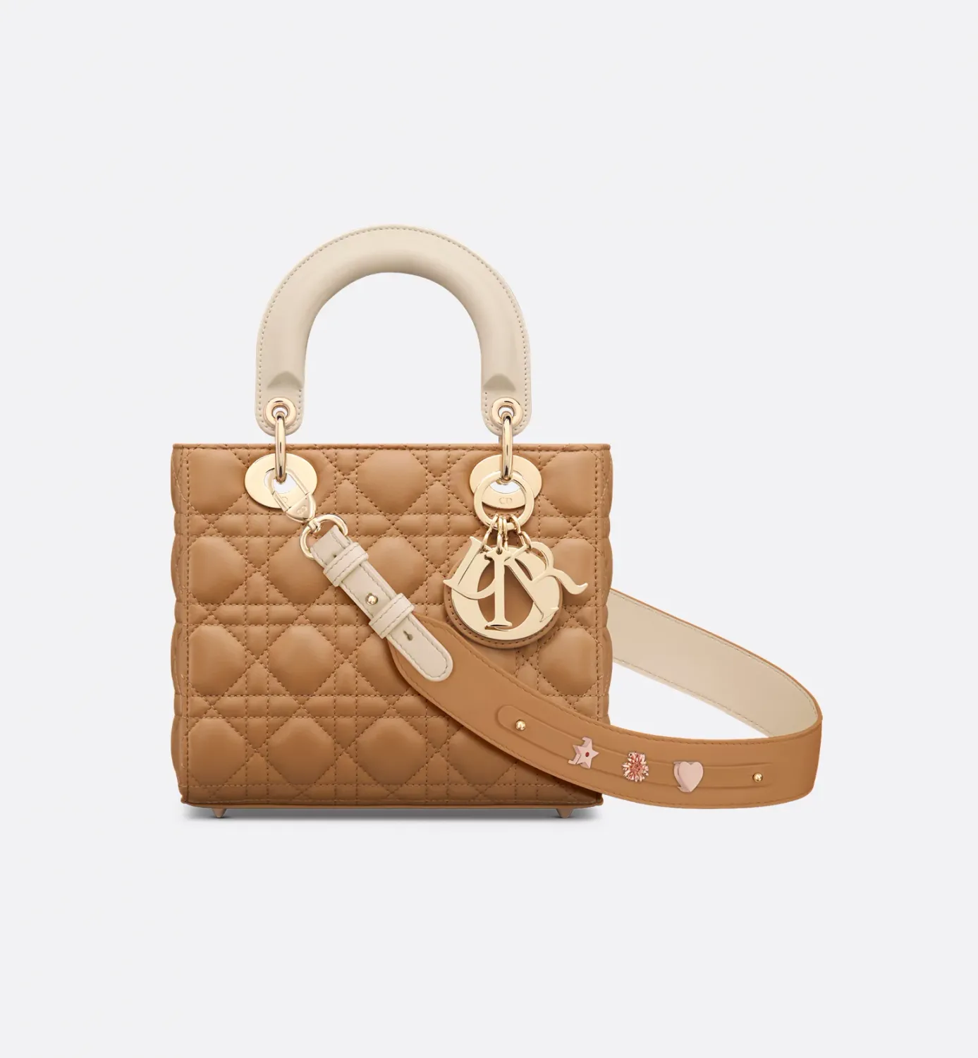 Small Lady Dior My ABCDior Bag