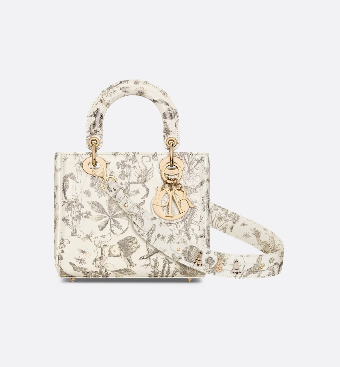 Small Lady Dior My ABCDior Bag