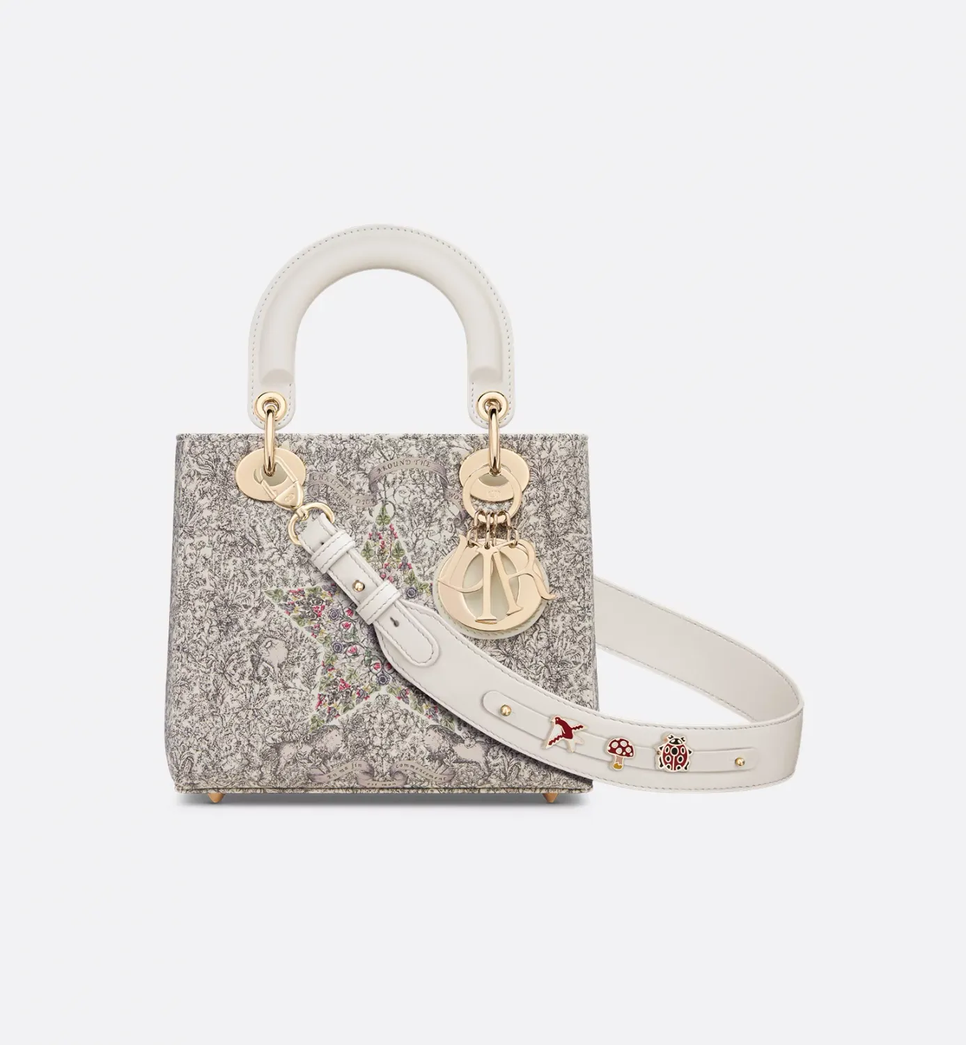 Small Lady Dior My ABCDior Bag