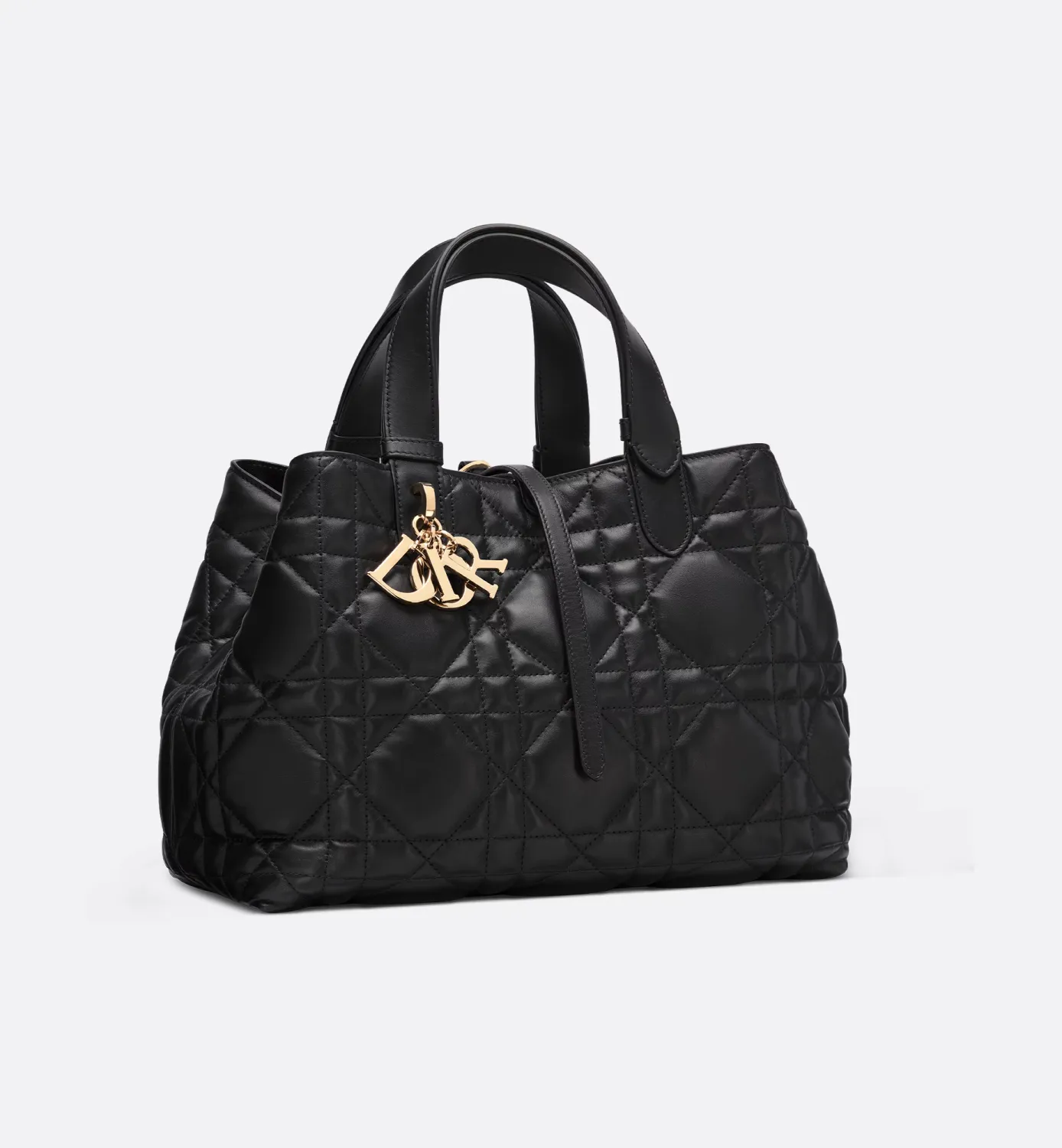 Medium Dior Toujours Bag