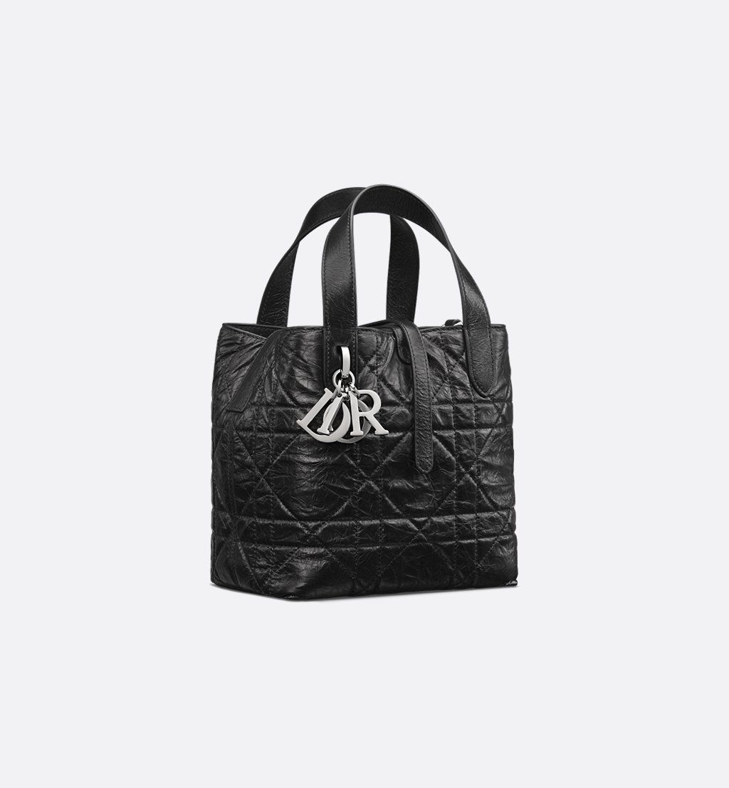 Small Dior Toujours Vertical Tote Bag