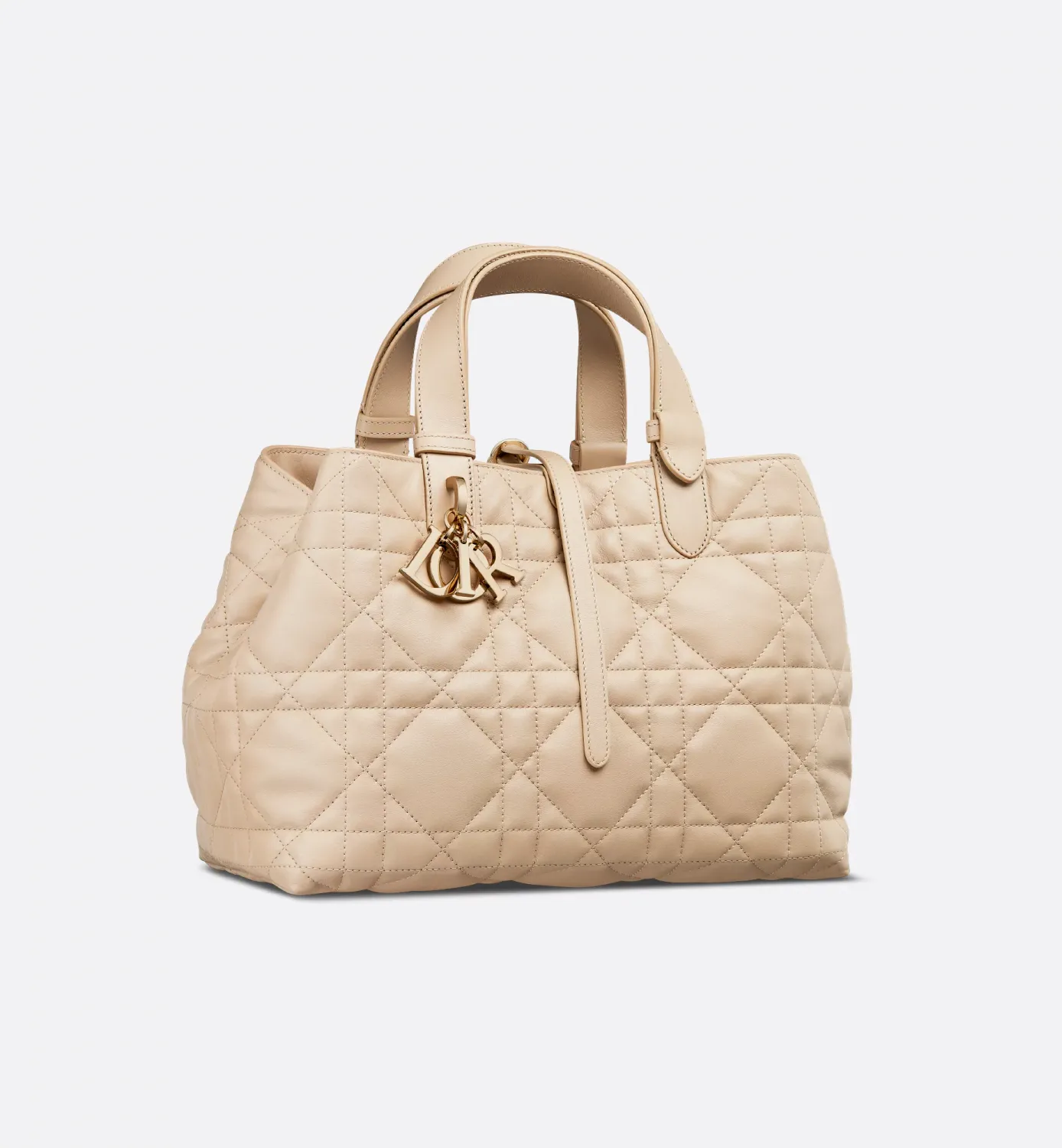 Medium Dior Toujours Bag