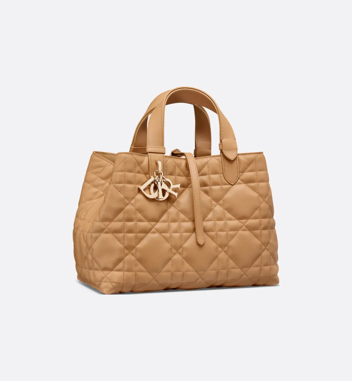 Medium Dior Toujours Bag
