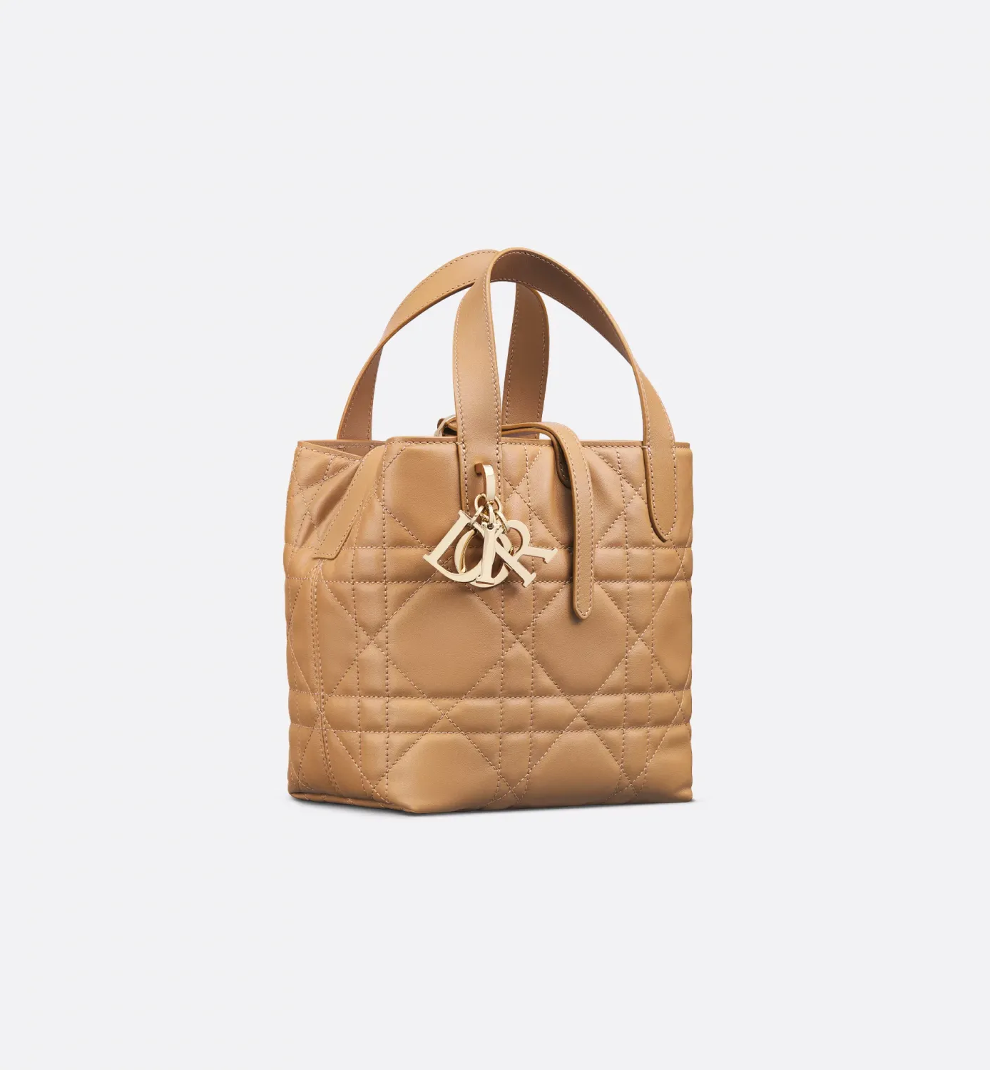 Small Dior Toujours Vertical Tote Bag