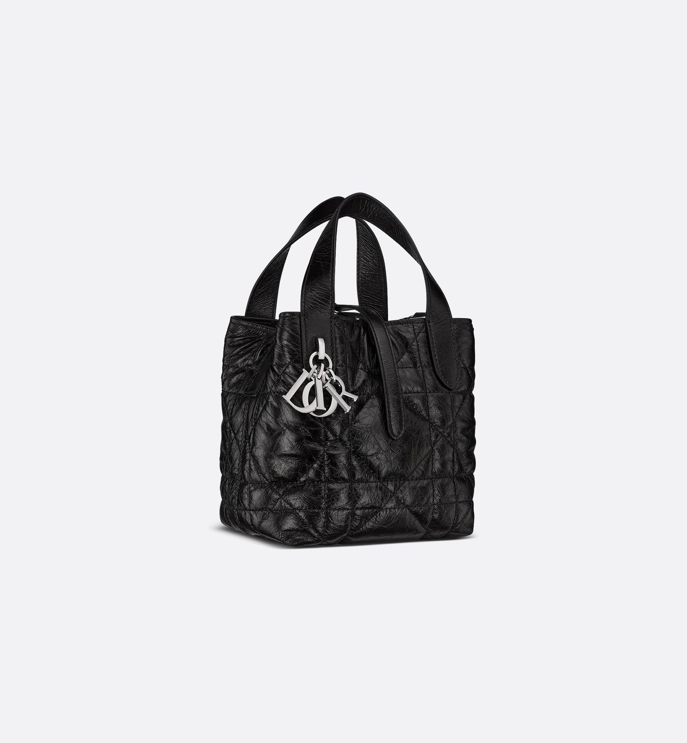 Dior Toujours Vertical Nano Tote Bag