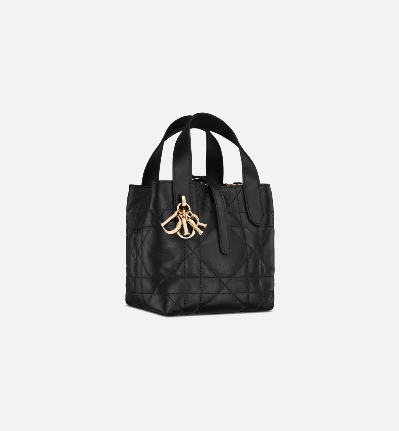 Dior Toujours Vertical Nano Tote Bag
