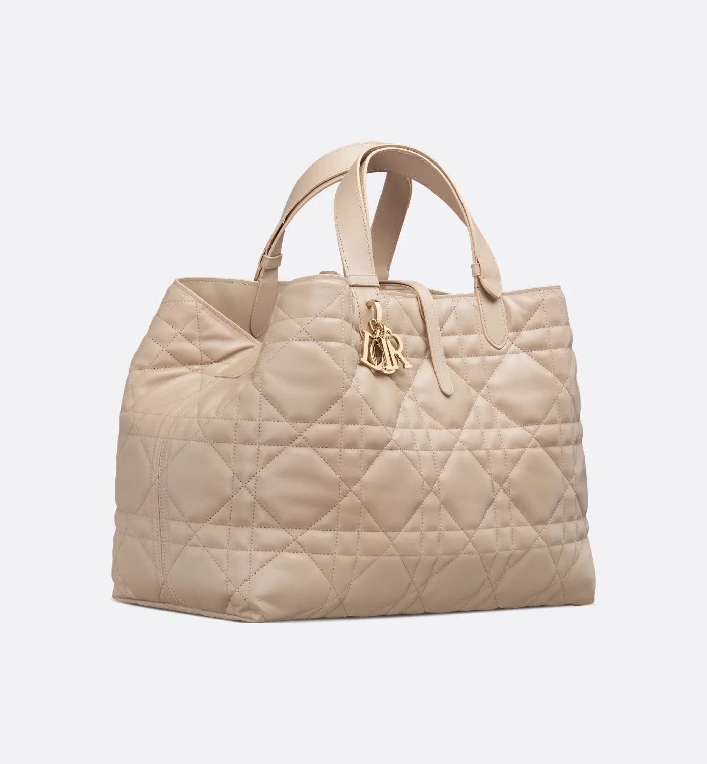 Large Dior Toujours Bag