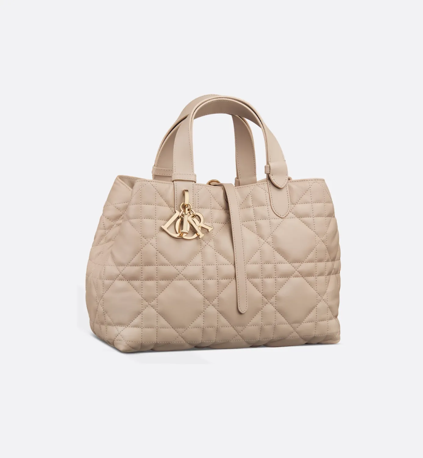 Medium Dior Toujours Bag