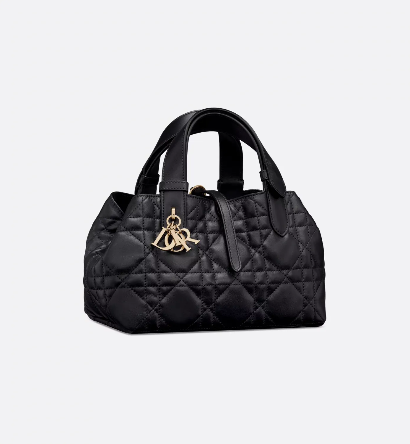 Small Dior Toujours Bag