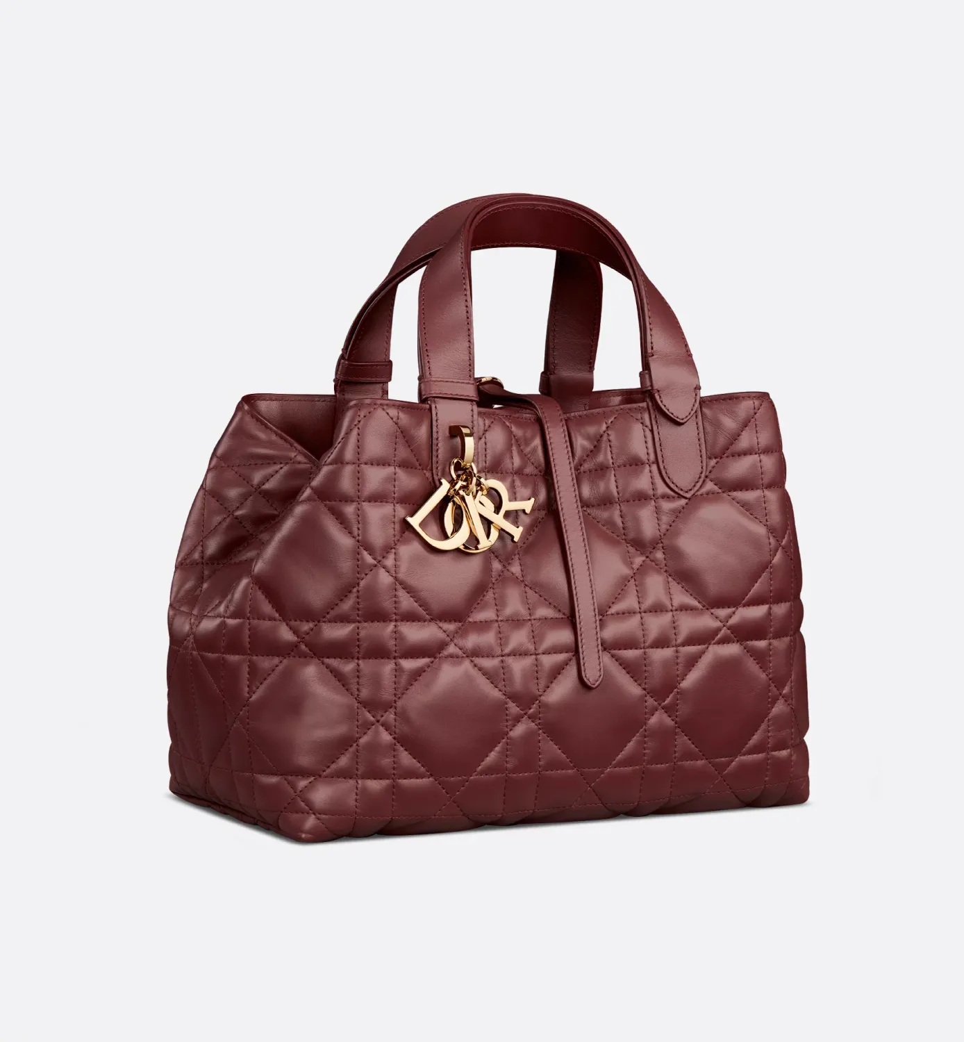 Medium Dior Toujours Bag