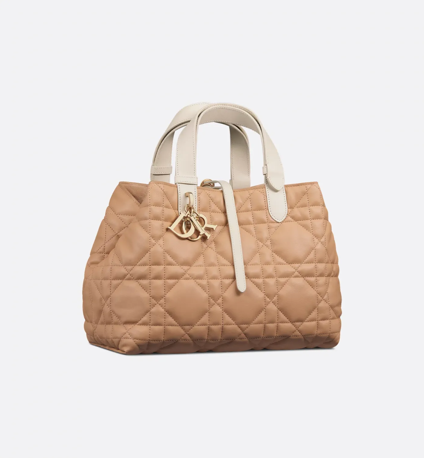 Medium Dior Toujours Bag